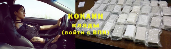 кокс Алексин