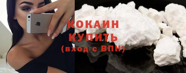 кокс Алексин