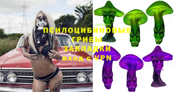 МДПВ Алексеевка