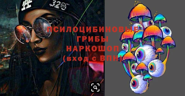 МДПВ Алексеевка