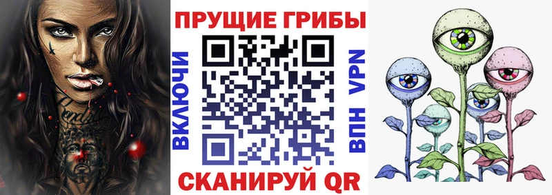 Псилоцибиновые грибы Cubensis  Тында 