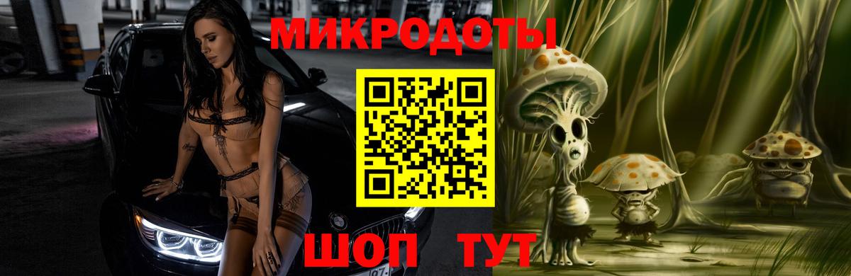 Псилоцибиновые грибы Psilocybe Тында