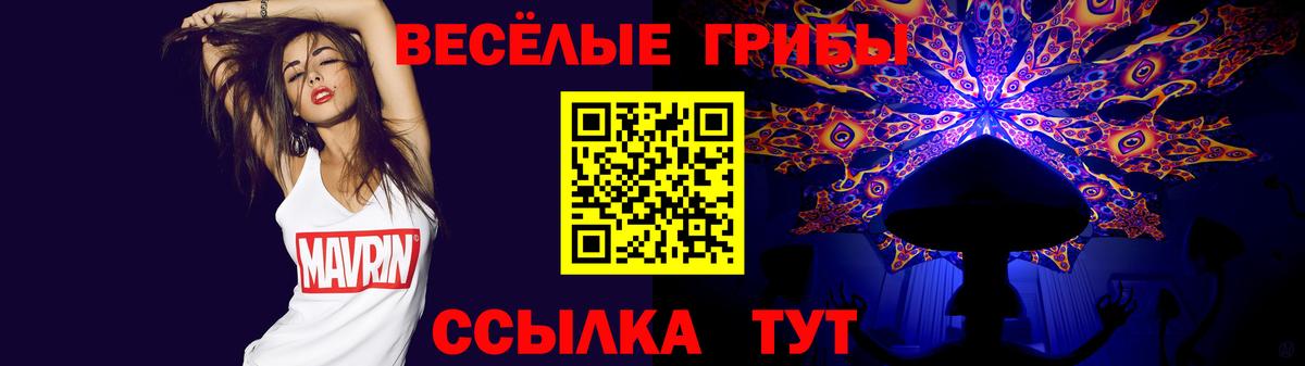 Галлюциногенные грибы Psilocybe  Вход с VPN  Тында 